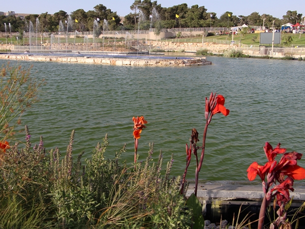 Dimina Lake Park. Photo: Yoav Devir