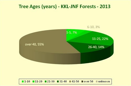 Tree Ages (years) - KKL-JNF forests - 2013
