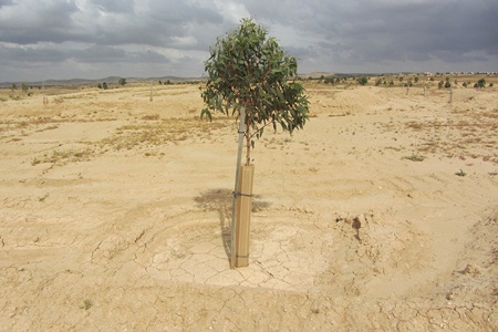 Photo: Tania Susskind