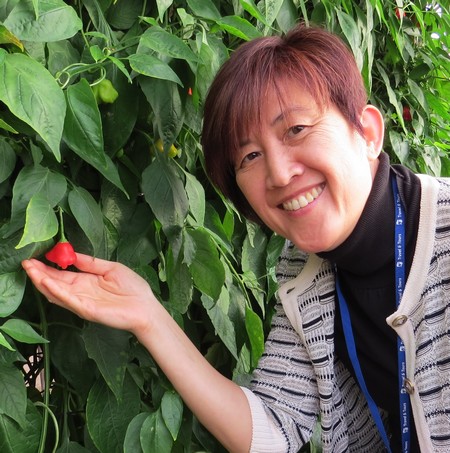 Innovative crops at the Arava R&D. Photo: Yoav Devir