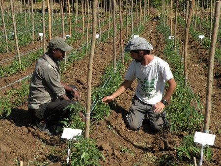 Seeds of Hope project in Ethiopia. Photo: KKL-JNF Photo Archive