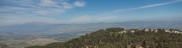 116 Years of KKL-JNF, Thanks to our Friends and Partners