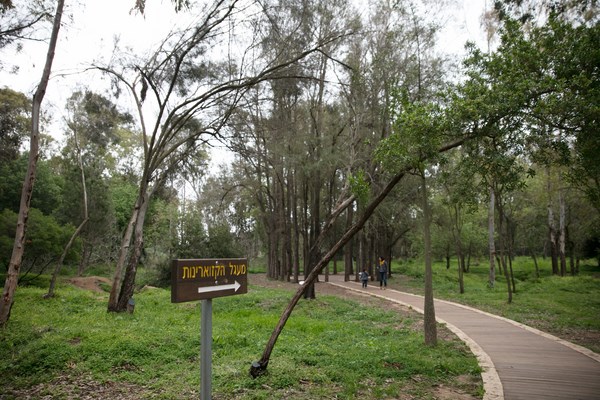 KKL-JNF's friends and partners around the world