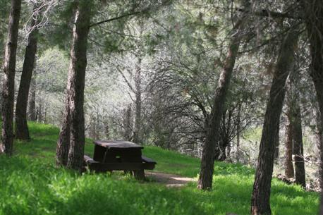 Photo: KKL-JNF Photo Archive