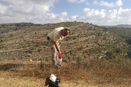 Photograph: KKL-JNF Photo Archive