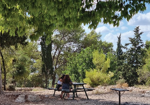 Travelers at the park