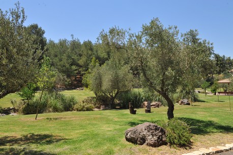 Migdal Haemek Community Forest. Photo: KKL-JNF Photo Archive
