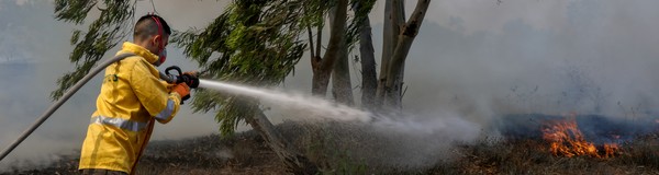 Photo: Yehuda Peretz, KKL-JNF Photo Archive