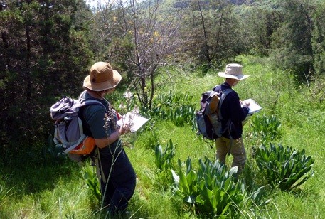 Surveyors at work in Switzerland Forest on the slopes above the Sea of Galilee. Photo: Uri Ramon
