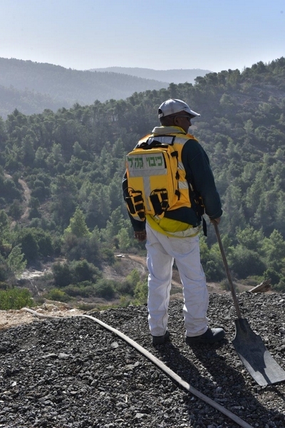 Surveying the damage. Photo: Eyal Eliyahu