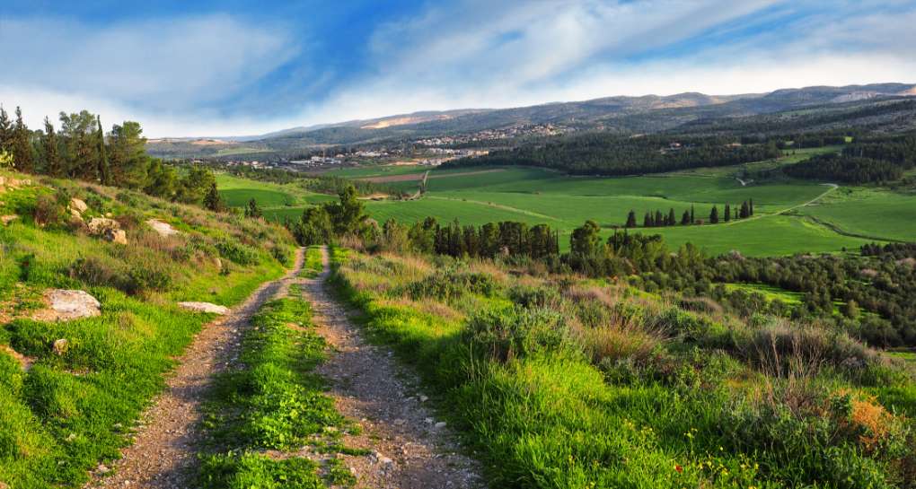 Adulam-France Park. Photo: Shutterstock