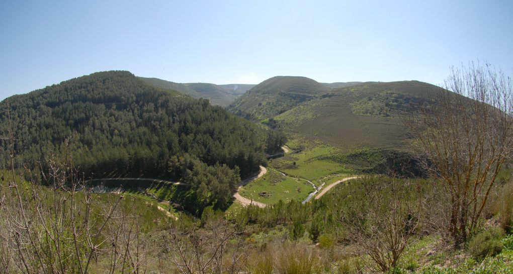 Photo: JNF Photo Archive