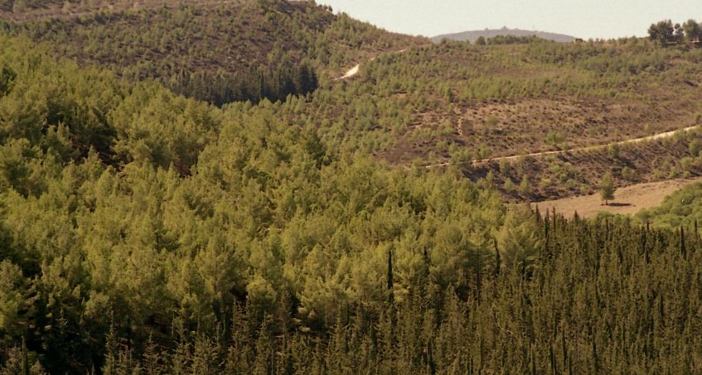 Shooting Panoramic-Hirschfield. Photo: JNF Photo Archive