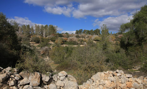 View from Shvil HaElot. Photo: Yaakov Shkolnik.