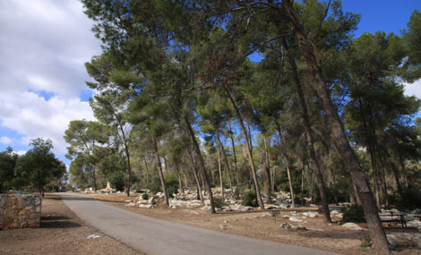 Photo: Yaakov Shkolnik.