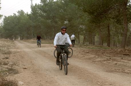 Devira Forest. Photo: KKL-JNF Archive.
