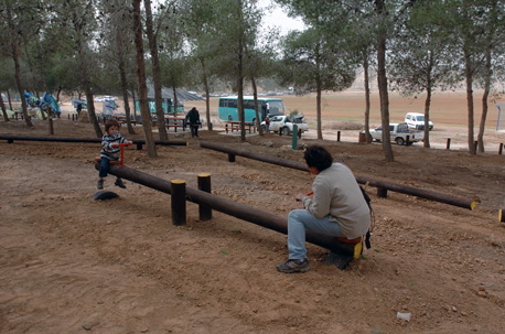 A recreation area in Devira Forest. Photo: David Greenspan