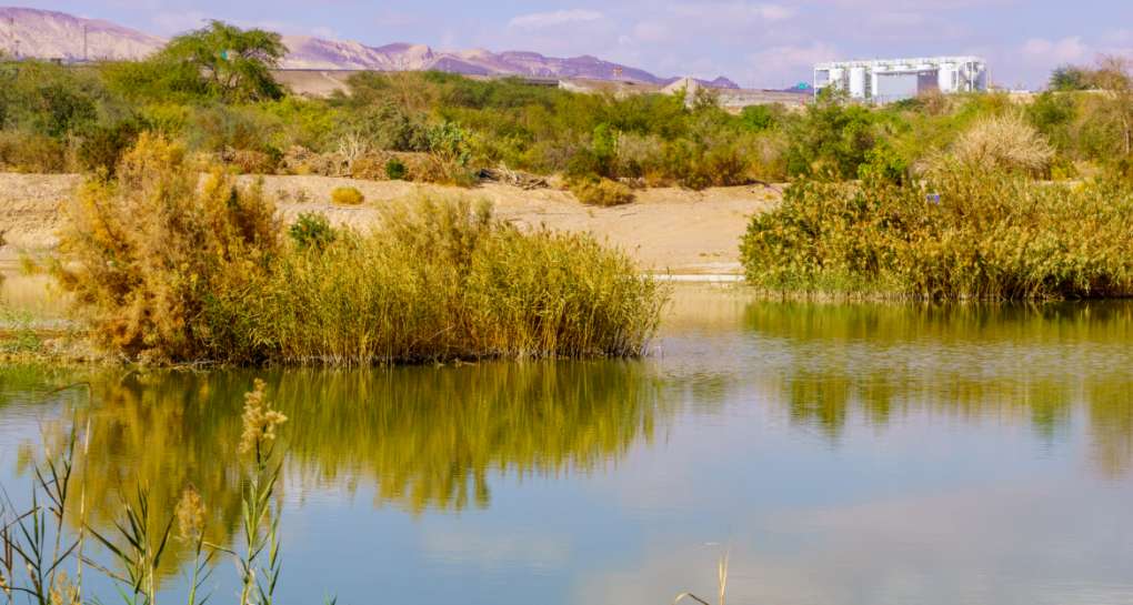 Eilat International Bird Park. Photo: Shutterstock