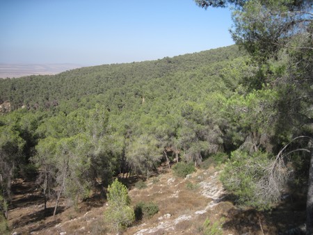 Gilboa's landscape. (Photo: Yoav Devir)