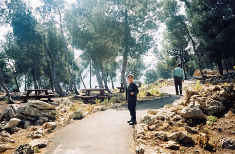 The Bible Trail in the Gilboa Forests. Photo: KKL-JNF archive.