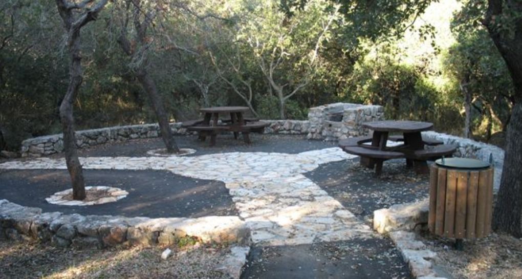 The Alonim lot in Goren Park. Photo: KKL-JNF Photo Archive