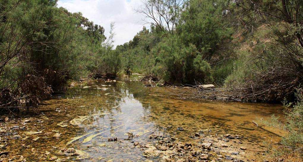 Photograph: KKL-JNF Photo Archive