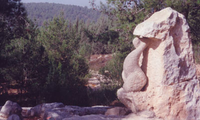 Photo: KKL-JNF Archive.