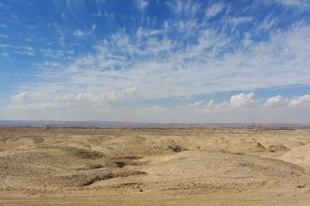 Photo: Tania Susskind.