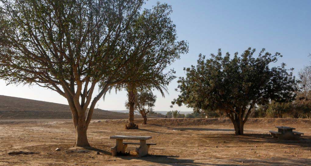 Photo: KKL-JNF Photo Archive