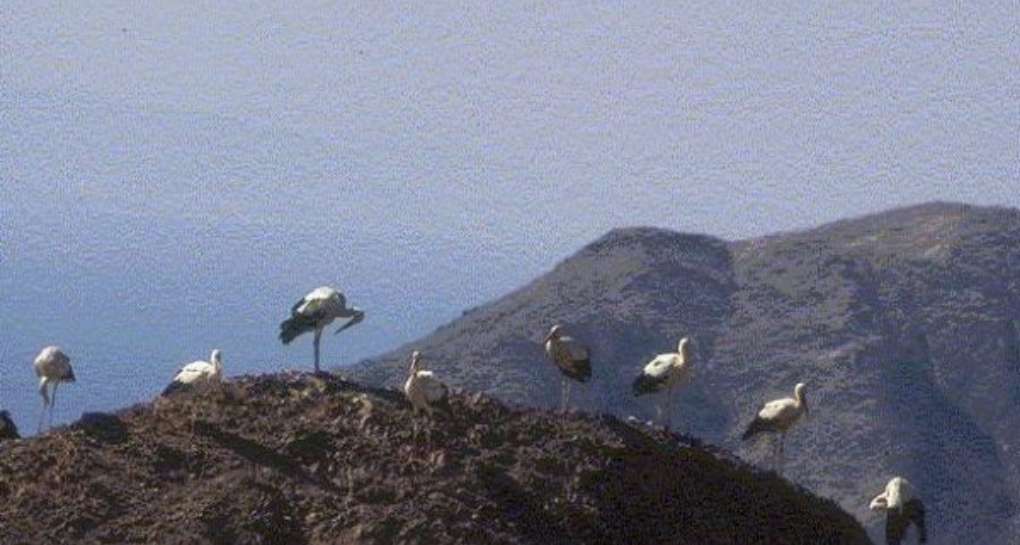 Holland Park in Eilat. Photo: JNF Photo Archive