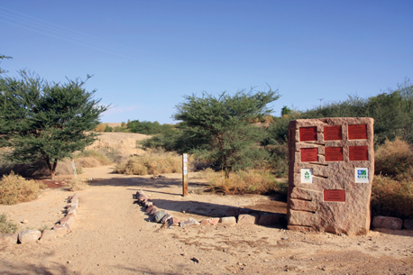 Photo: Yaakov Shkolnik