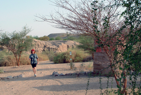 Photo: Talia Livshitz