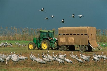 Photo: KKL-JNF Photo Archive