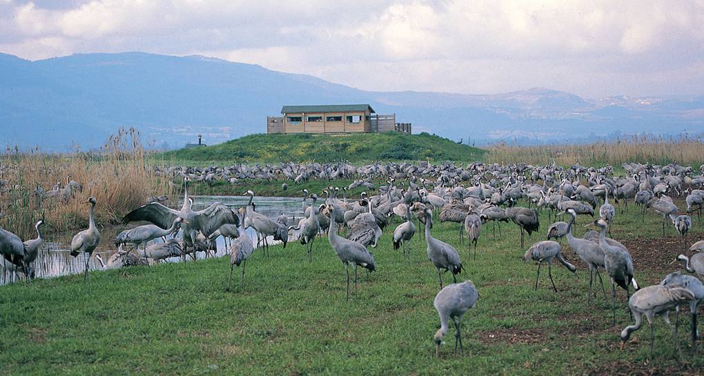 Photo: KKL-JNF Photo Archive