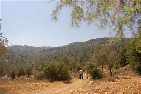 Photo: Malka Brakai, KKL-JNF Jerusalem