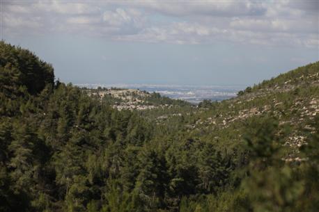Photo: Yossi Zamir, KKL-JNF Jerusalem.