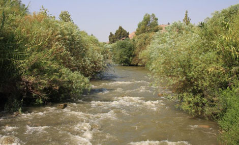 Photo: Yaakov Shkolnik