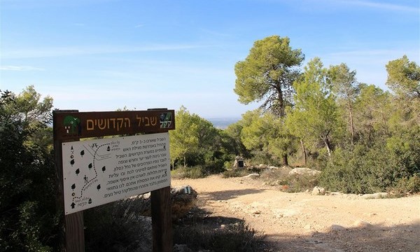 trees in israel memorial