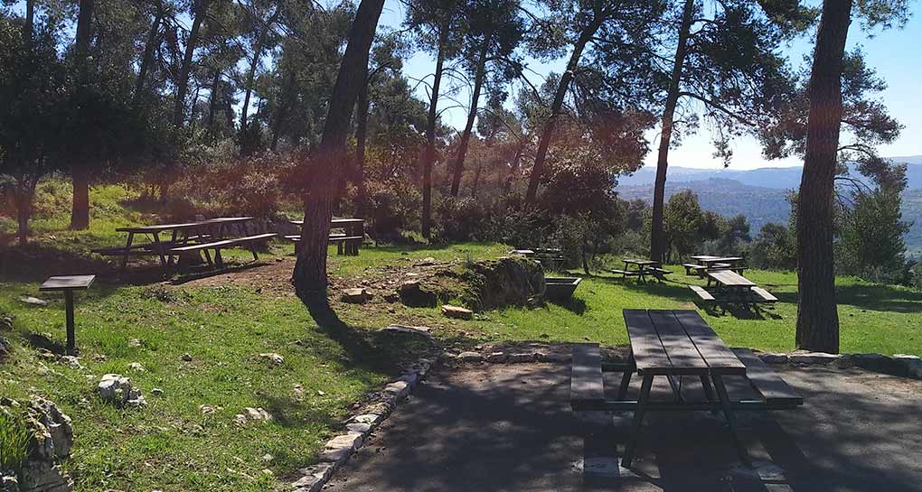 Photograph: Yaakov Shkolnik KKL-JNF Photo Archive