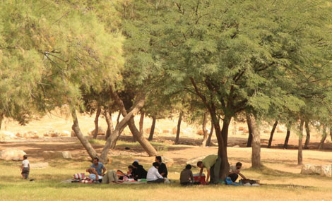 Photo: Yaakov Shkolnik