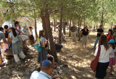 A community forest. Photo: KKL-JNF Archive.