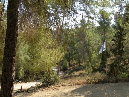 (Photo: Tania Susskind, KKL-JNF Photo Archive)