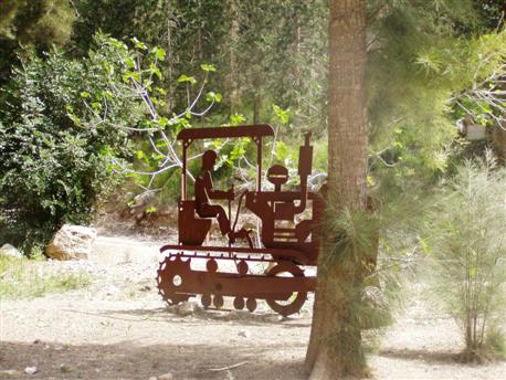 (Photo: Hava Braun, KKL-JNF Photo Archive)