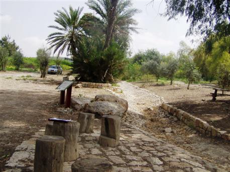 (Photo: KKL-JNF Photo Archive)