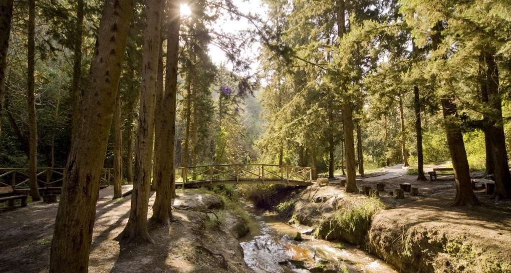 Photo: KKL-JNF Photo Archive