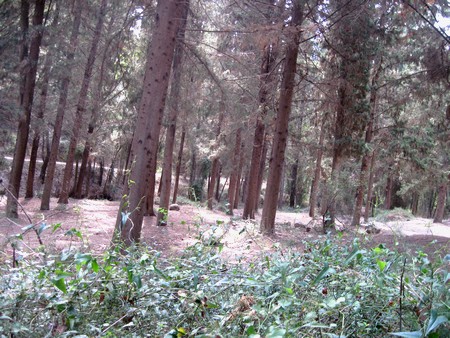 Photo: KKL-JNF Photo Archive