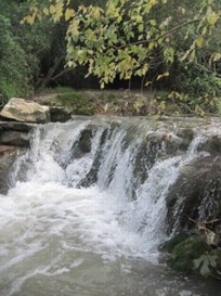 HaShofet River. Photos: Yoav Devir.