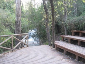 HaShofet River. Photos: Yoav Devir.