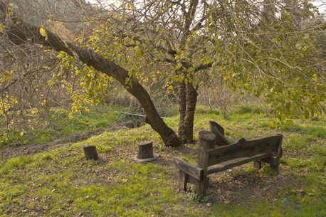 Park Ramat Menashe. Photo: Eyal Bartuv.