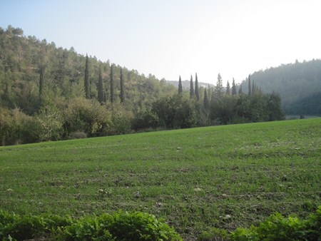 Ramat Menashe. Photo: Yoav Devir.